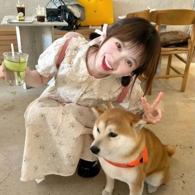 追捕野狼帮