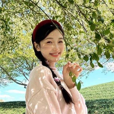 霹雳娇娃